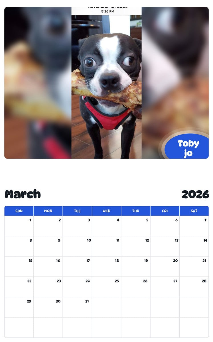 November 2025 - October 2026 Toby jo - Pawidols Pet Calendar