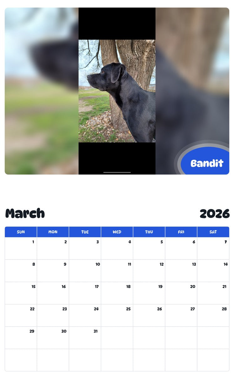 November 2025 - October 2026 Bandit - Pawidols Pet Calendar