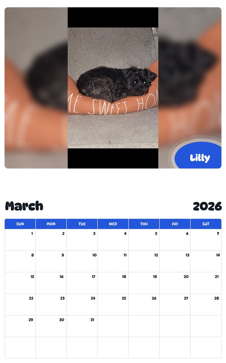 November 2025 - October 2026 Lilly - Pawidols Pet Calendar