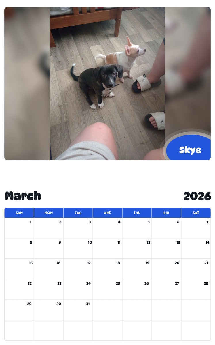 November 2025 - October 2026 Skye - Pawidols Pet Calendar