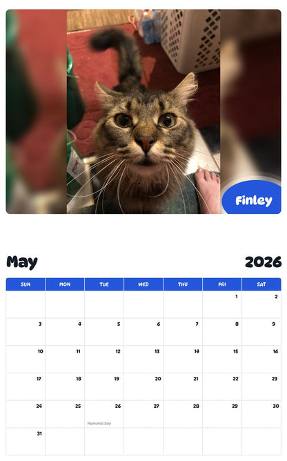 2026 - 2027 Finley - Pawidols Pet Calendar