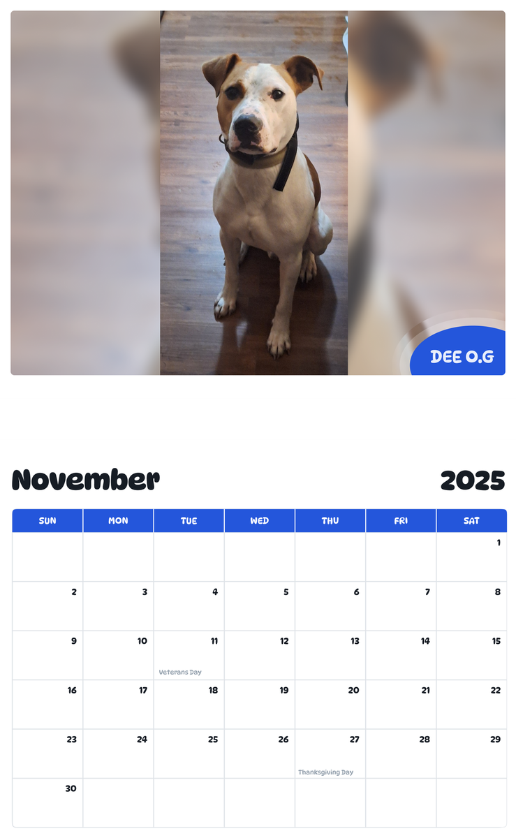 July 2025 - June 2026 Dee O.G - Pawidols Pet Calendar
