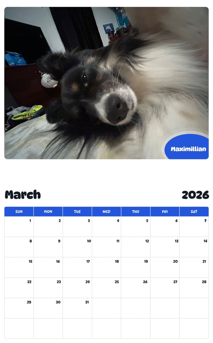 November 2025 - October 2026 Maximillian - Pawidols Pet Calendar