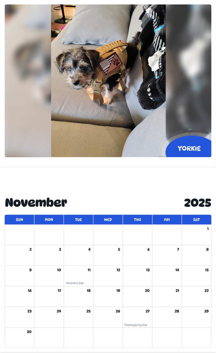 July 2025 - June 2026 Yorkie - Pawidols Pet Calendar