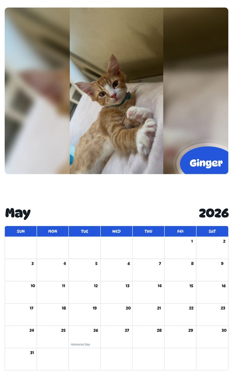 2026 - 2027 Ginger - Pawidols Pet Calendar