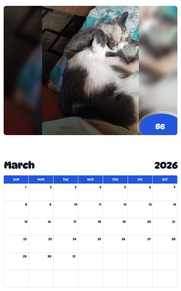 November 2025 - October 2026 BB - Pawidols Pet Calendar