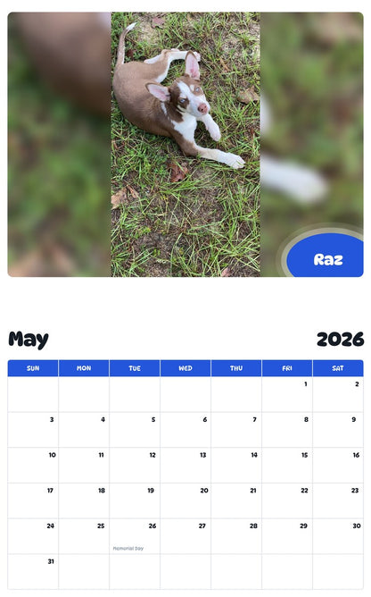 2026 - 2027 Raz - Pawidols Pet Calendar