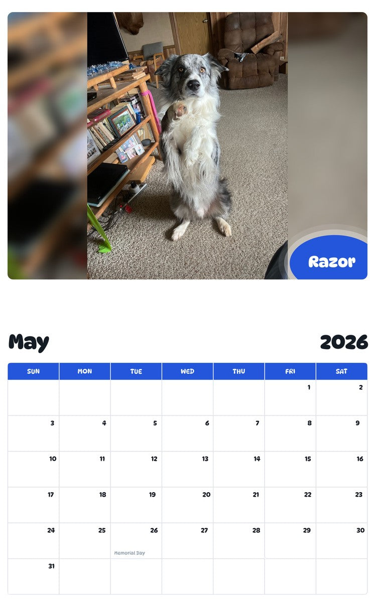 2026 - 2027 Razor - Pawidols Pet Calendar