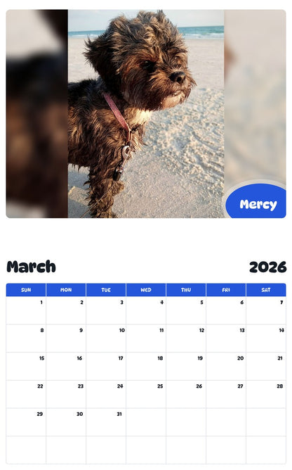 November 2025 - October 2026 Mercy - Pawidols Pet Calendar
