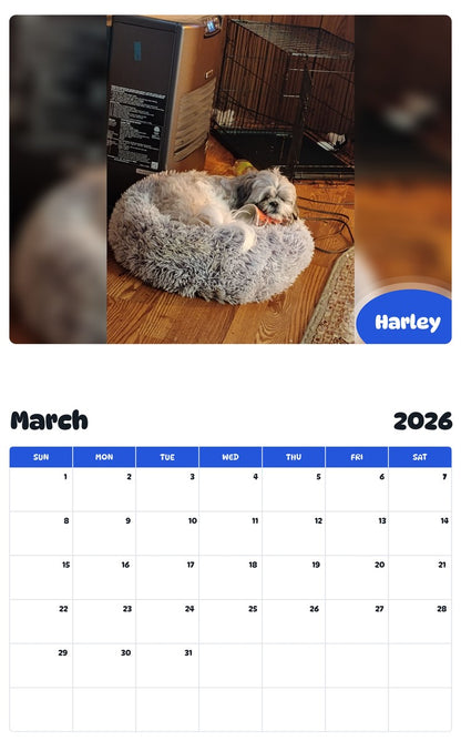 November 2025 - October 2026 Harley - Pawidols Pet Calendar