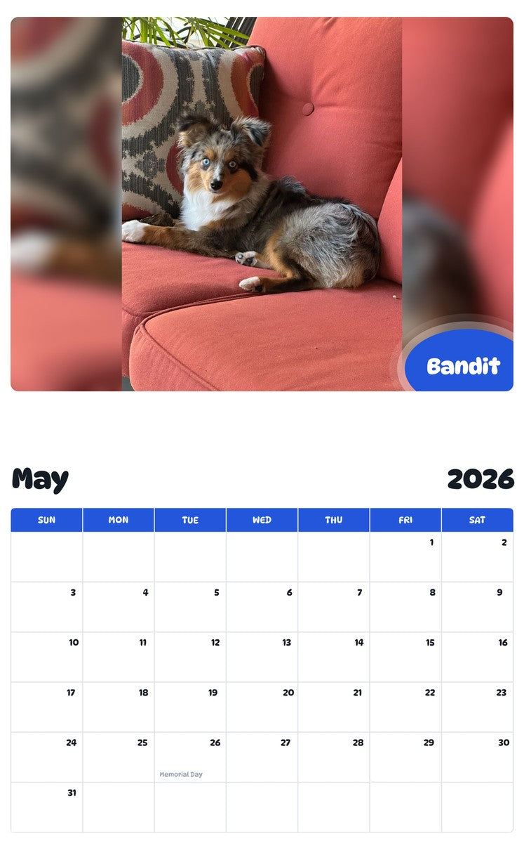 2026 - 2027 Bandit - Pawidols Pet Calendar