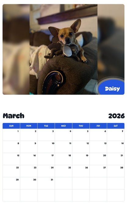 November 2025 - October 2026 Daisy - Pawidols Pet Calendar