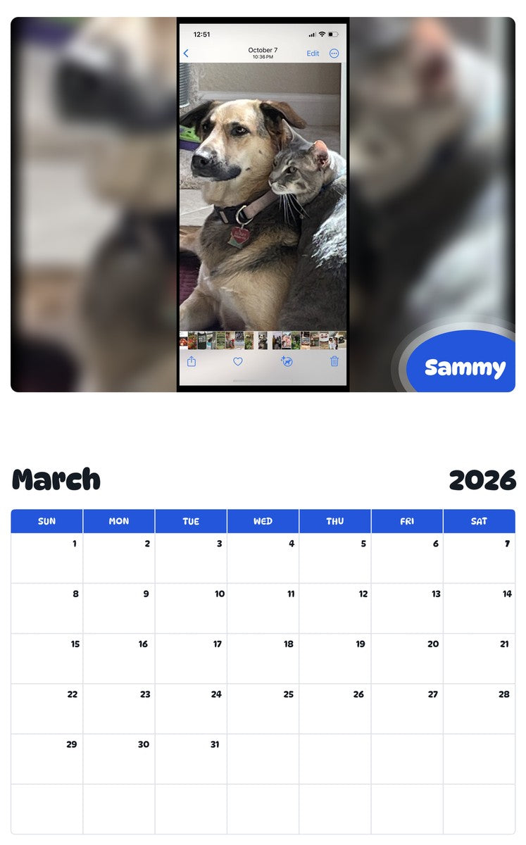 November 2025 - October 2026 Sammy - Pawidols Pet Calendar