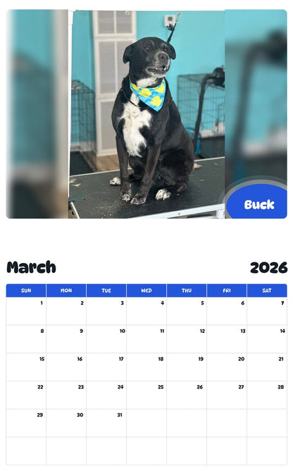 November 2025 - October 2026 Buck - Pawidols Pet Calendar
