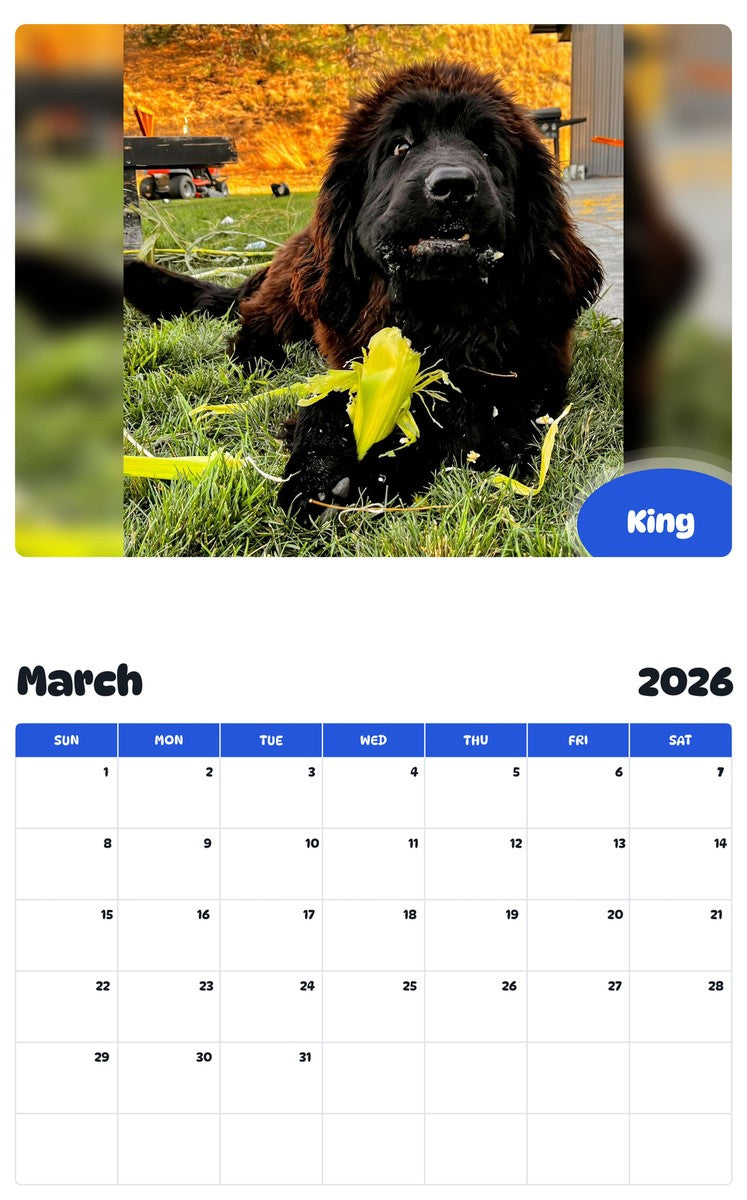 November 2025 - October 2026 King - Pawidols Pet Calendar