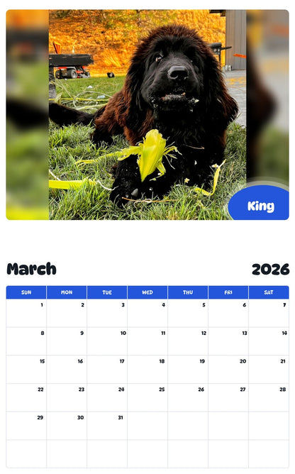 November 2025 - October 2026 King - Pawidols Pet Calendar