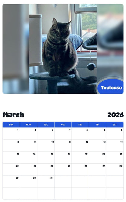 November 2025 - October 2026 Toulouse - Pawidols Pet Calendar