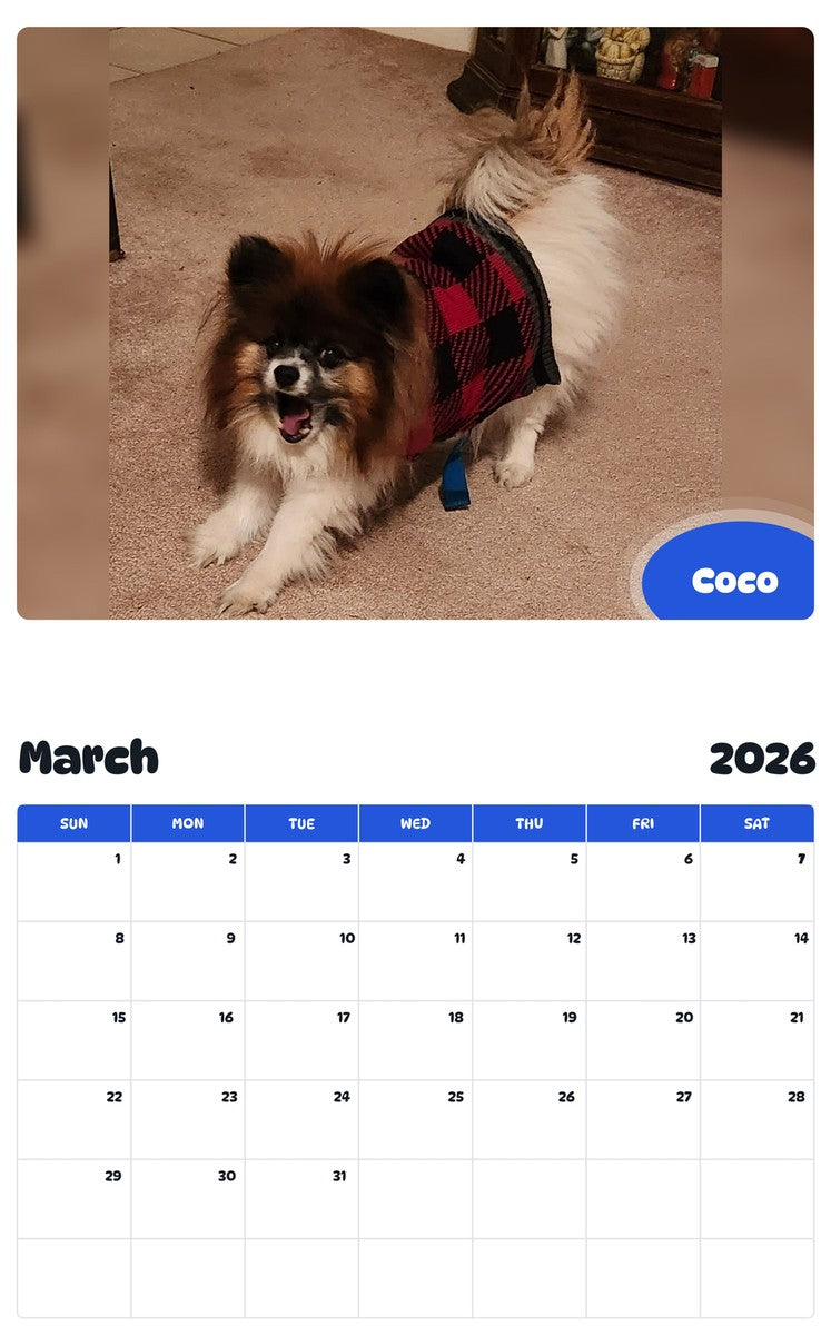 November 2025 - October 2026 Coco - Pawidols Pet Calendar