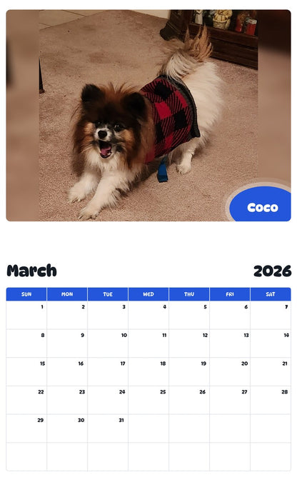 November 2025 - October 2026 Coco - Pawidols Pet Calendar