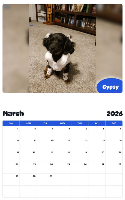 November 2025 - October 2026 Gypsy - Pawidols Pet Calendar