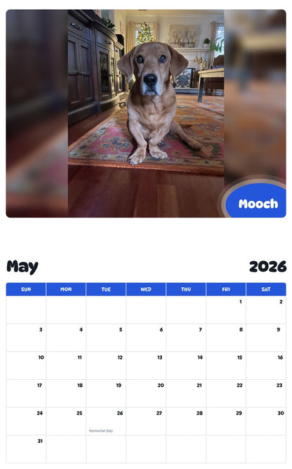 2026 - 2027 Mooch - Pawidols Pet Calendar