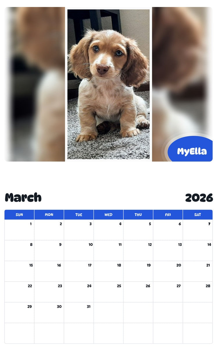 November 2025 - October 2026 MyElla - Pawidols Pet Calendar
