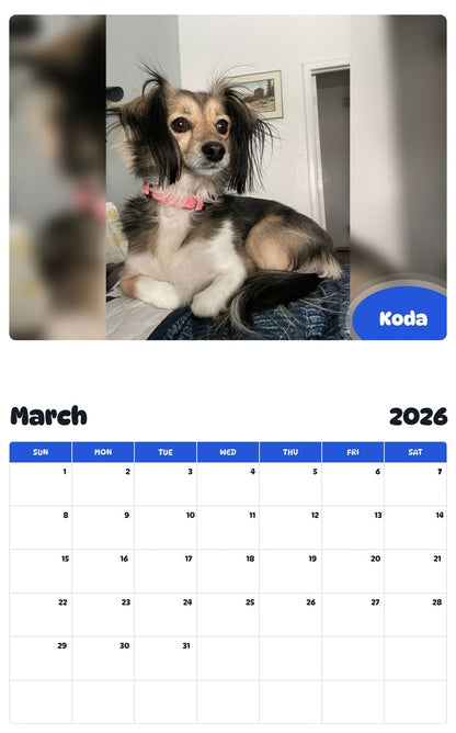 November 2025 - October 2026 Koda - Pawidols Pet Calendar