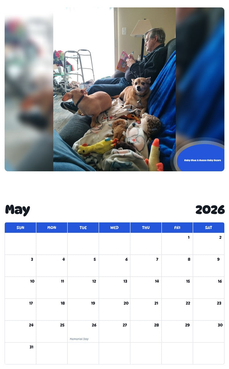 2026 - 2027 Baby Blue & Russo Baby Bears - Pawidols Pet Calendar