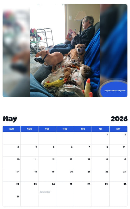 2026 - 2027 Baby Blue & Russo Baby Bears - Pawidols Pet Calendar