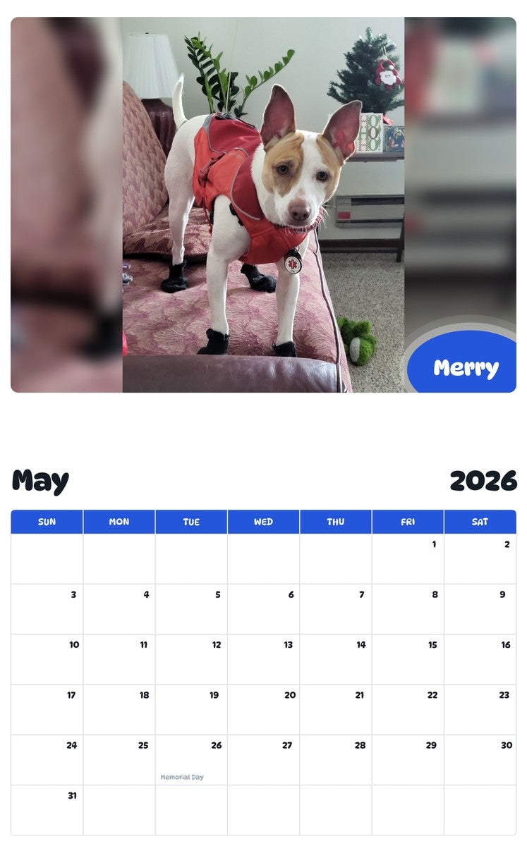 2026 - 2027 Merry - Pawidols Pet Calendar