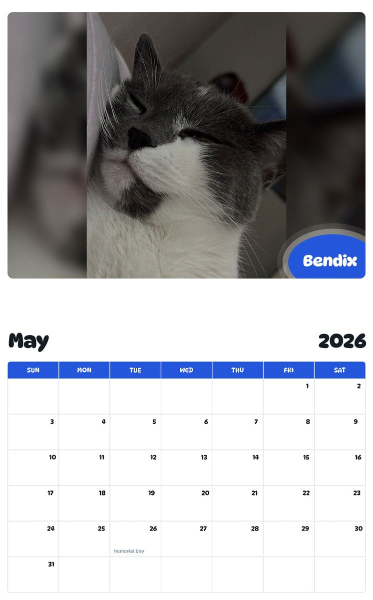 2026 - 2027 Bendix - Pawidols Pet Calendar