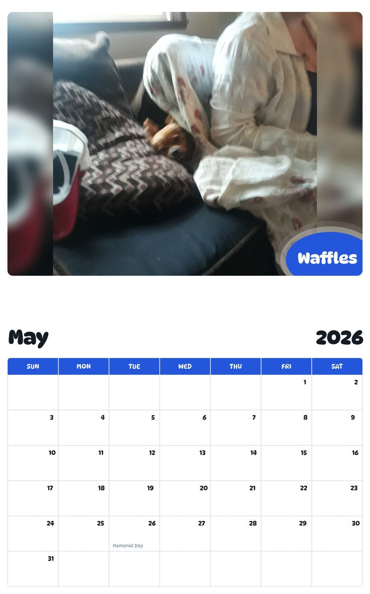 2026 - 2027 Waffles - Pawidols Pet Calendar