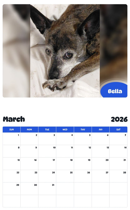 November 2025 - October 2026 Bella - Pawidols Pet Calendar