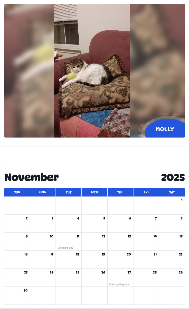 July 2025 - June 2026 Molly - Pawidols Pet Calendar