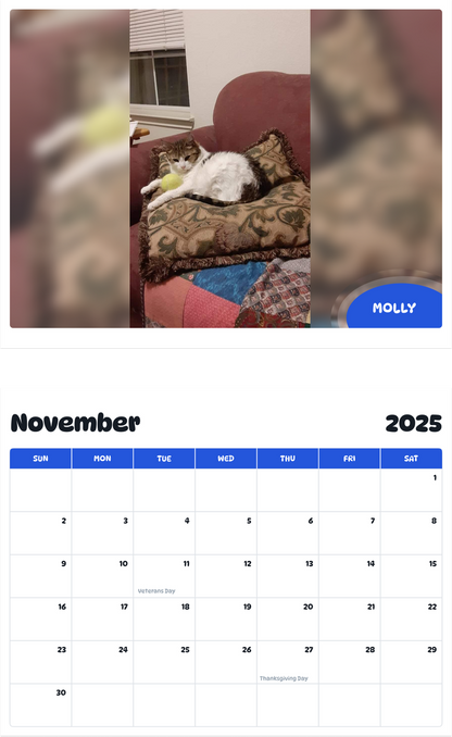July 2025 - June 2026 Molly - Pawidols Pet Calendar