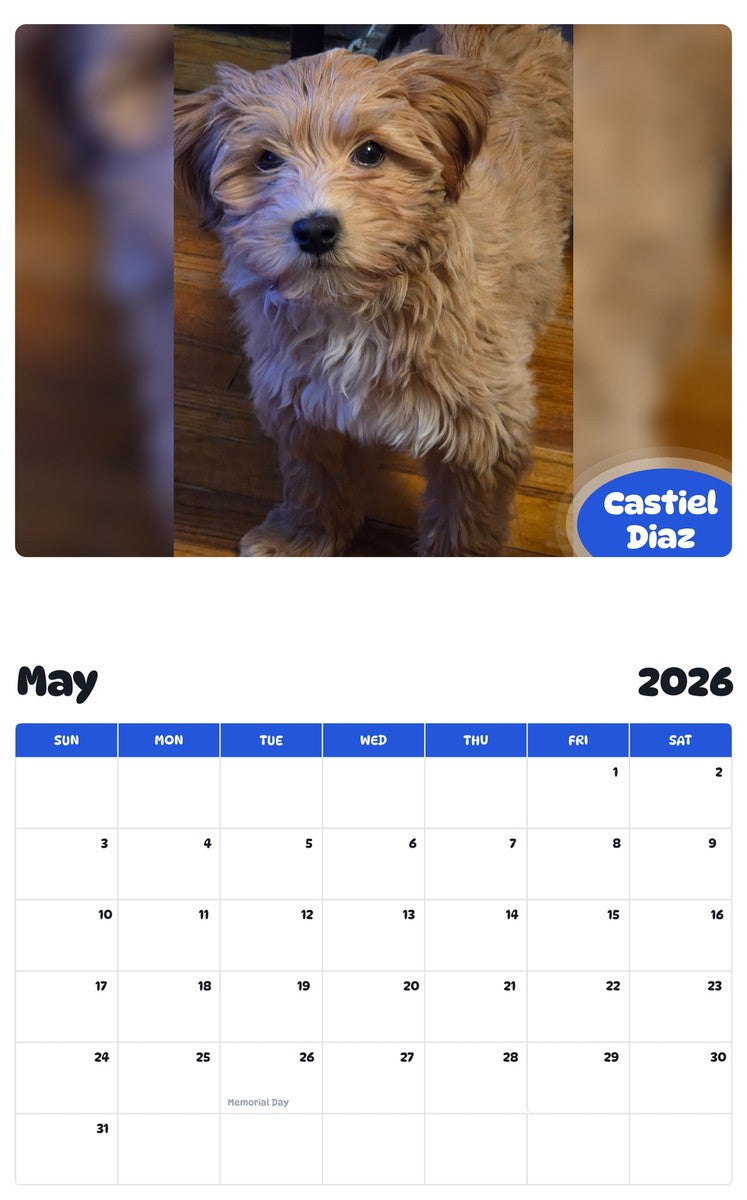 2026 - 2027 Castiel Diaz - Pawidols Pet Calendar