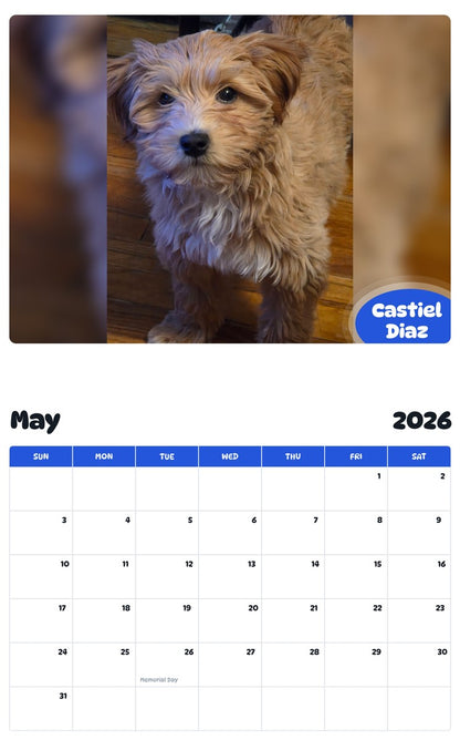 2026 - 2027 Castiel Diaz - Pawidols Pet Calendar