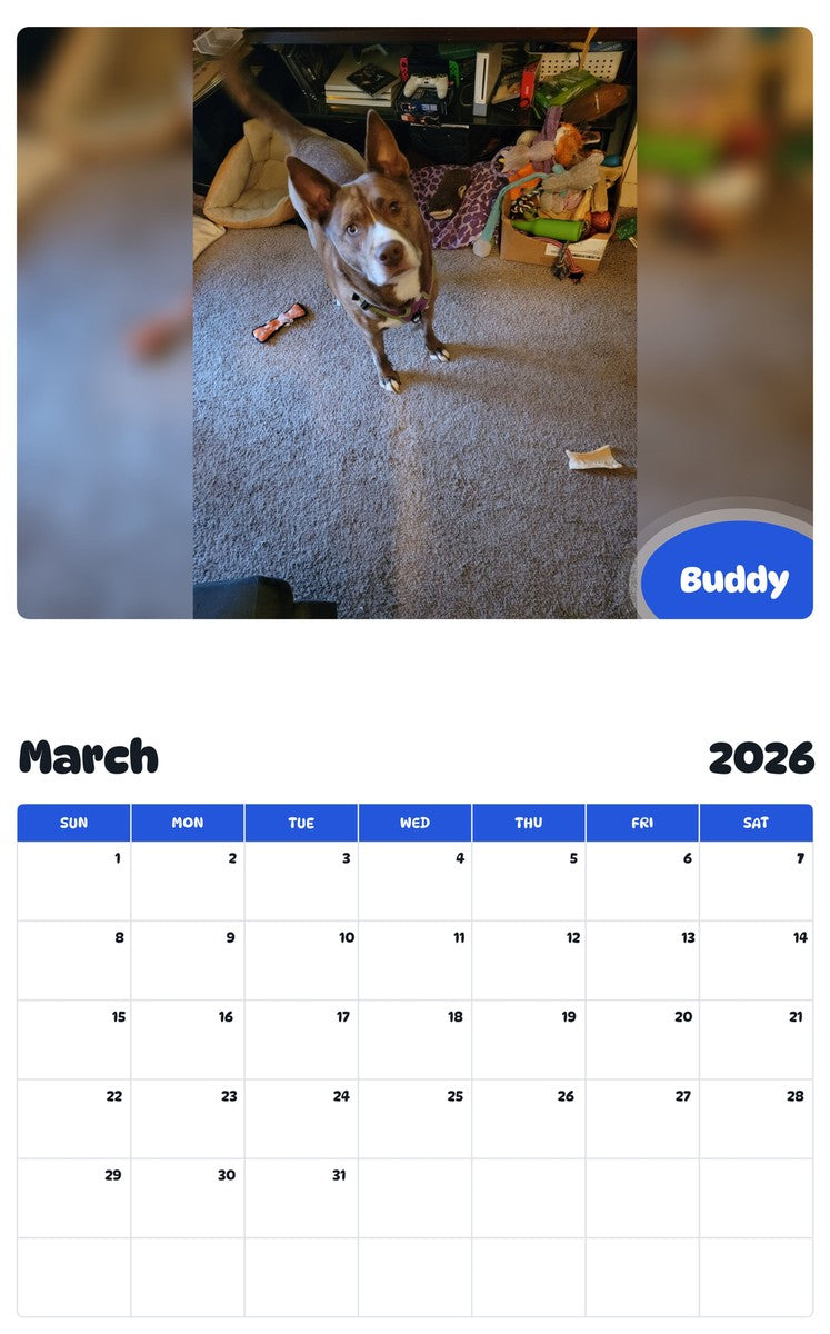 November 2025 - October 2026 Buddy - Pawidols Pet Calendar
