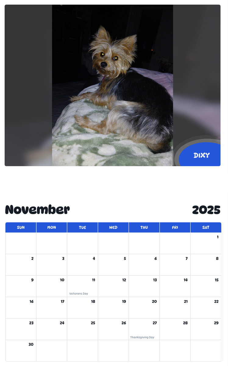 July 2025 - June 2026 Dixy - Pawidols Pet Calendar
