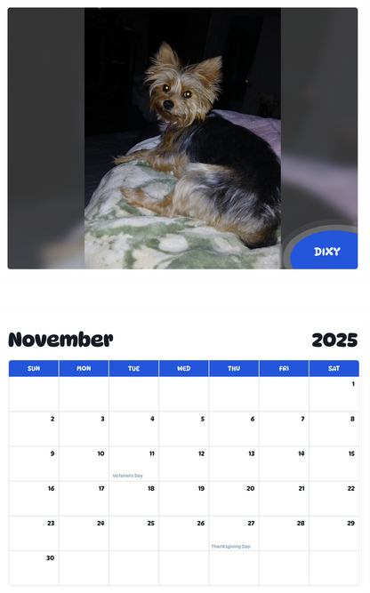 July 2025 - June 2026 Dixy - Pawidols Pet Calendar