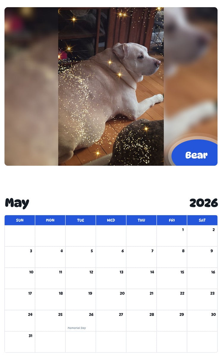 2026 - 2027 Bear - Pawidols Pet Calendar