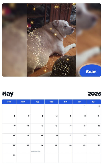 2026 - 2027 Bear - Pawidols Pet Calendar