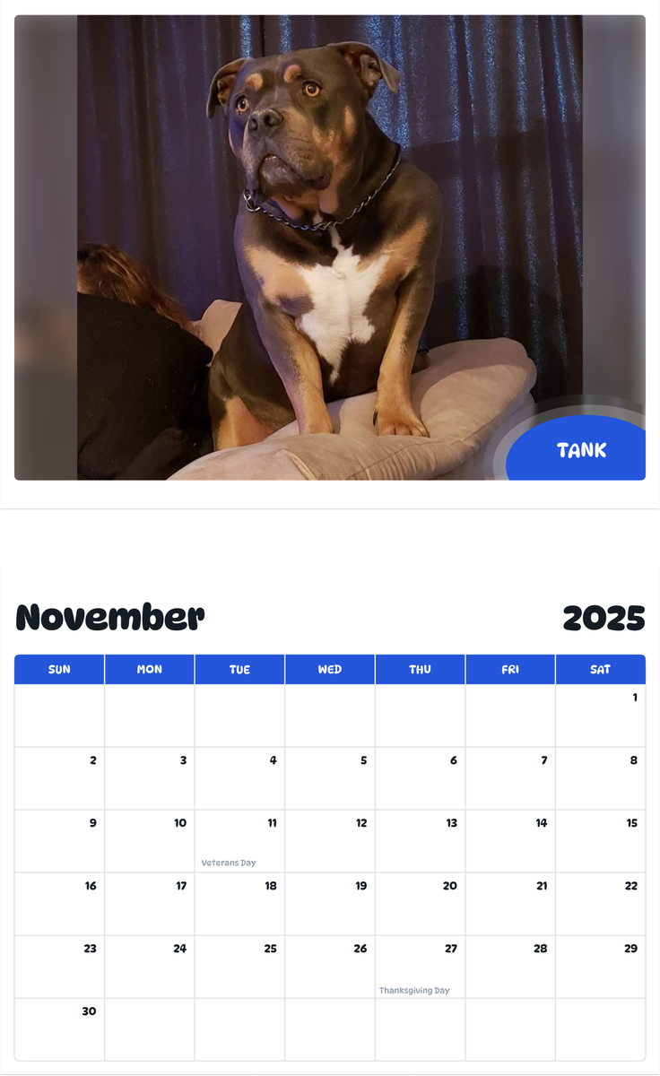 July 2025 - June 2026 TANK - Pawidols Pet Calendar