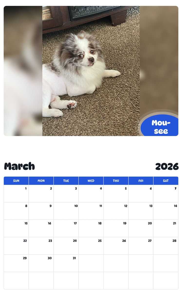 November 2025 - October 2026 Mou-see - Pawidols Pet Calendar