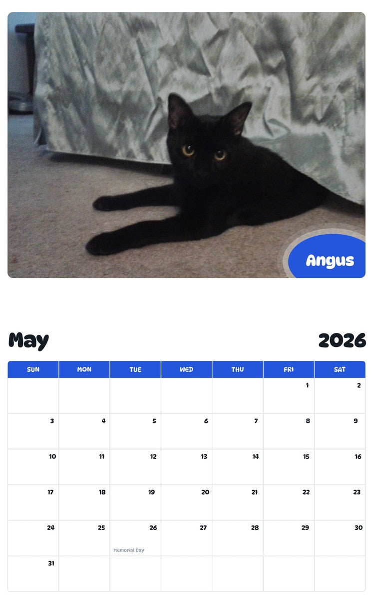 2026 - 2027 Angus - Pawidols Pet Calendar