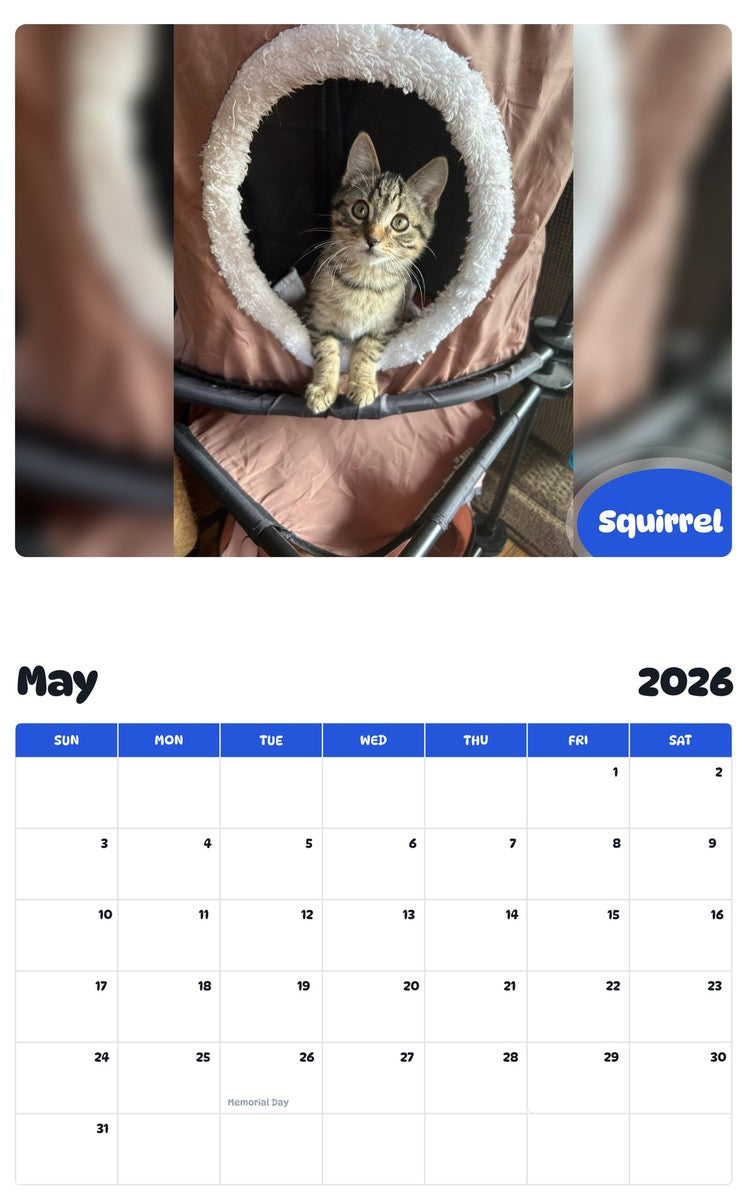 2026 - 2027 Squirrel - Pawidols Pet Calendar
