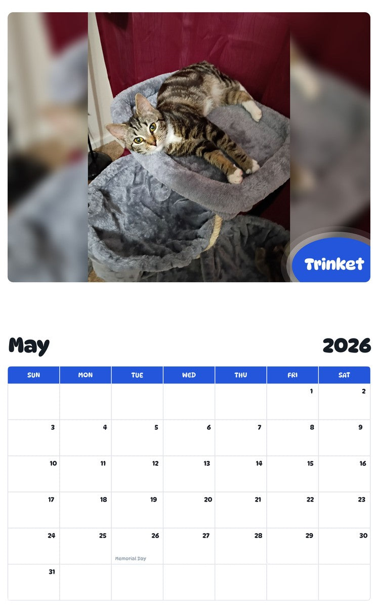 2026 - 2027 Trinket - Pawidols Pet Calendar