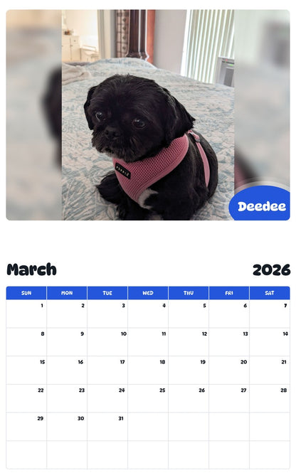 November 2025 - October 2026 Deedee - Pawidols Pet Calendar