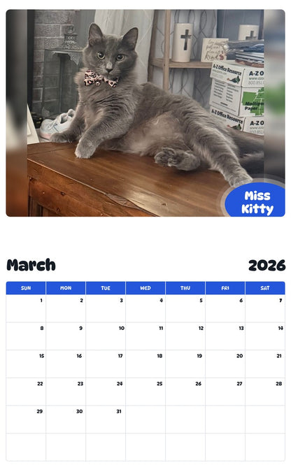November 2025 - October 2026 Miss Kitty - Pawidols Pet Calendar