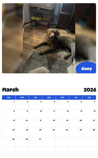 November 2025 - October 2026 Roxy - Pawidols Pet Calendar